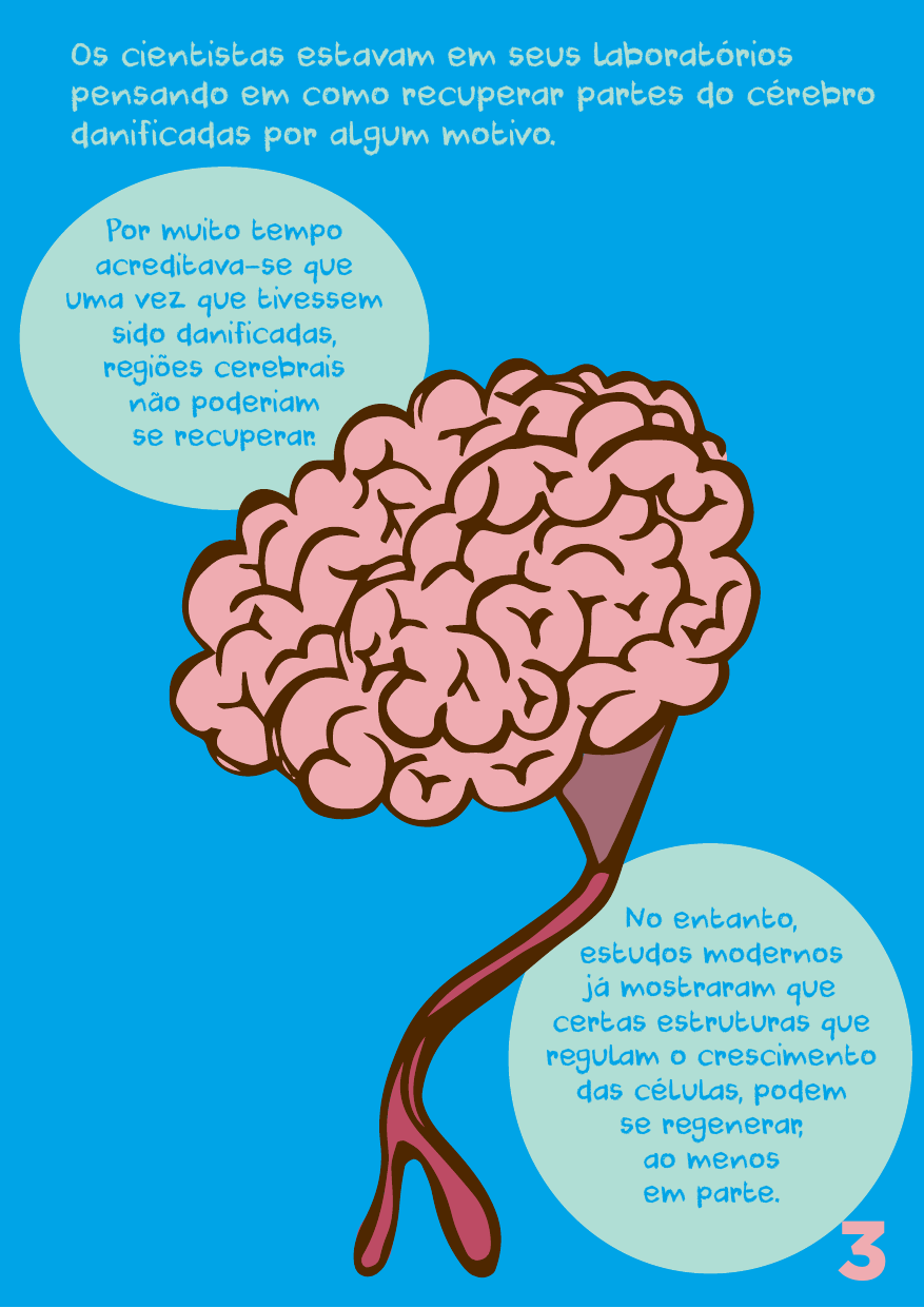 importancia-animais.pdf