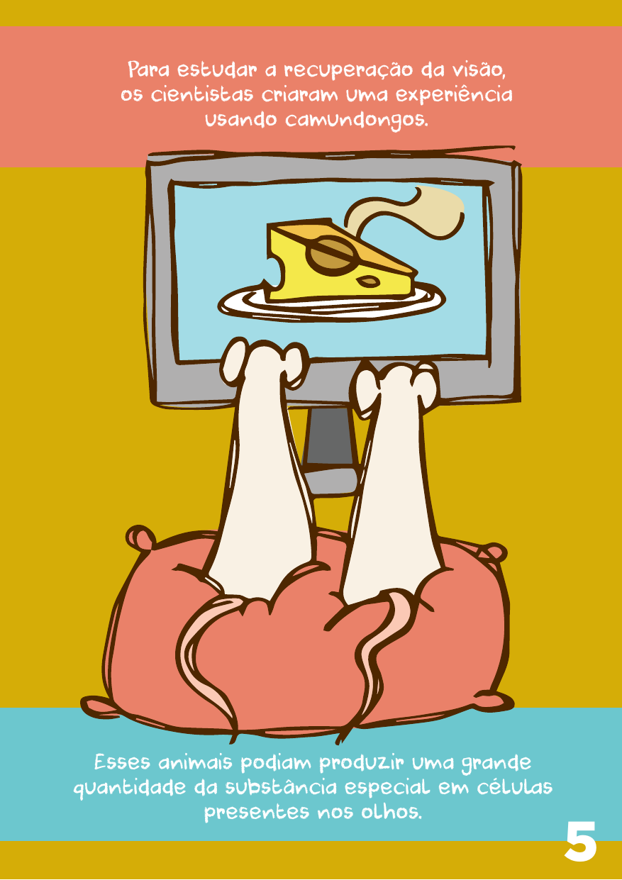 importancia-animais.pdf