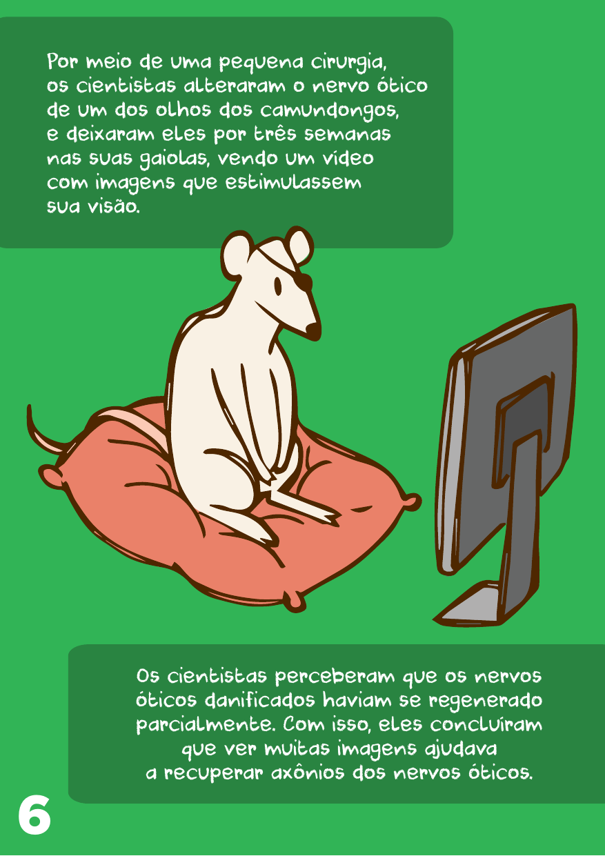 importancia-animais.pdf