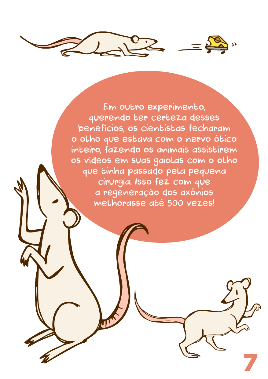 importancia-animais.pdf