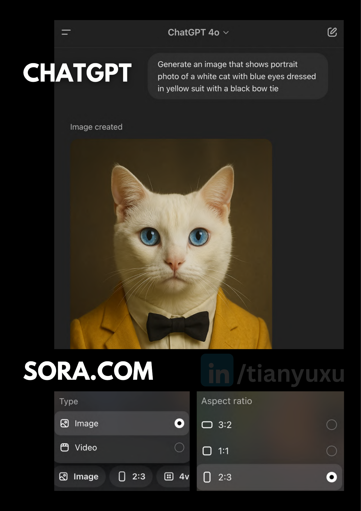 Creating Images with GPT-4o and Use Cases_Tianyu Xu .pdf